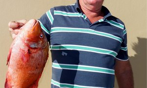 Birkenheaders se Blinklywe